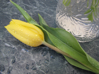 Similar image 22562514