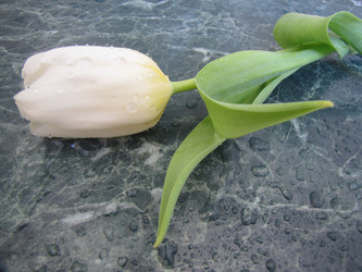 Similar image 22562517