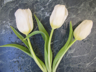 Similar image 22562528