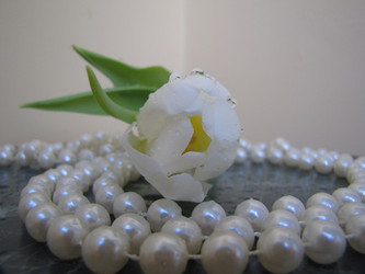 Similar image 22562530