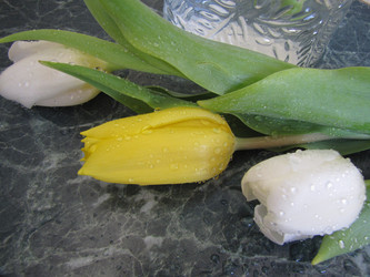 Similar image 22562531