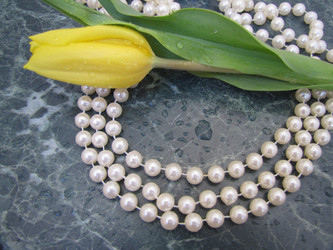 Similar image 22562532