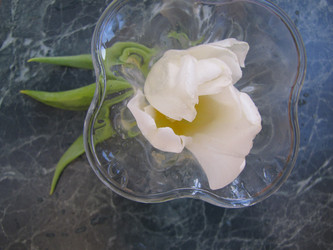 Similar image 22562533