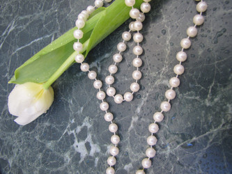 Similar image 22562534