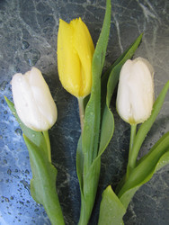 Similar image 22562535