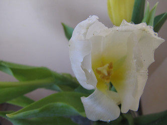 Similar image 22562518