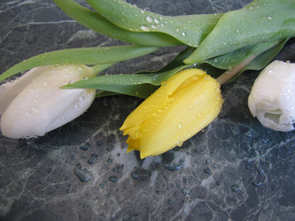 Similar image 22562519