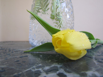 Similar image 22562521