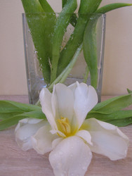 Similar image 22562523