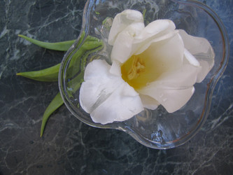 Similar image 22562525