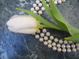 Similar image 22562526