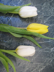 Similar image 22562527