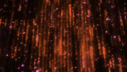 Similar image 22563625