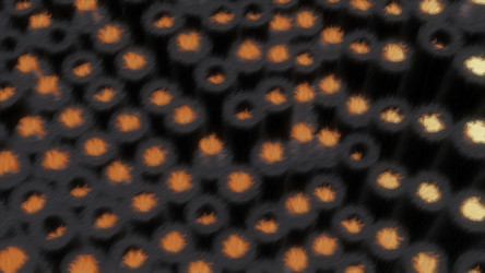 Similar image 22574882