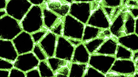 Similar image 22564418