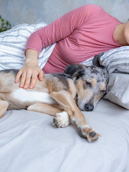 Similar image 22593347