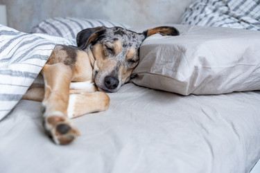 Similar image 22593348