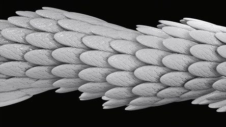 Similar image 22574156