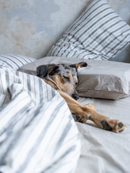 Similar image 22593230