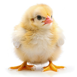 Similar image 22584367