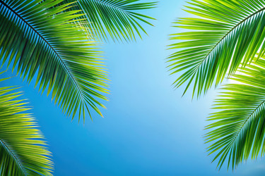 Similar image 22584381