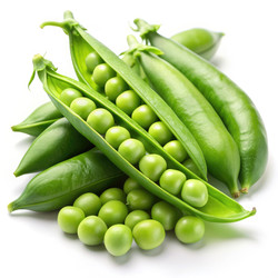 Similar image 22584439