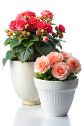 Similar image 22581320