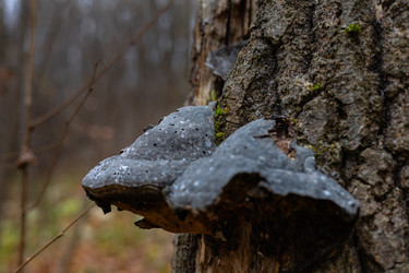 Similar image 22560673