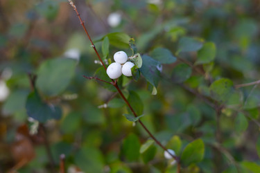 Similar image 22562409