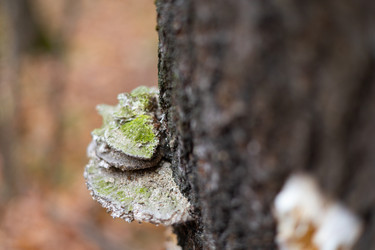 Similar image 22560674