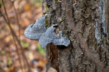 Similar image 22560675