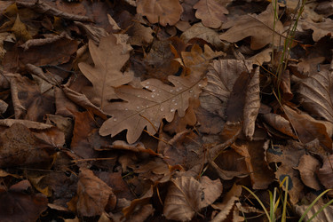 Similar image 22562410