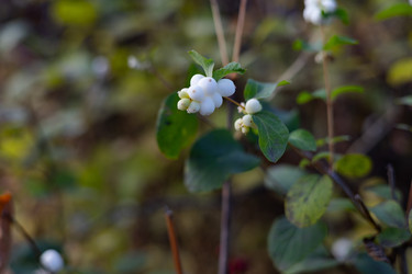 Similar image 22562411