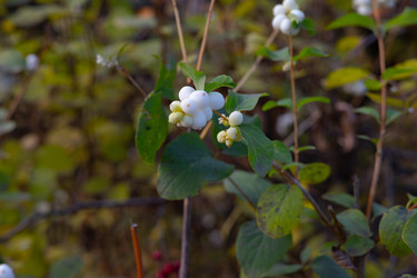 Similar image 22562412