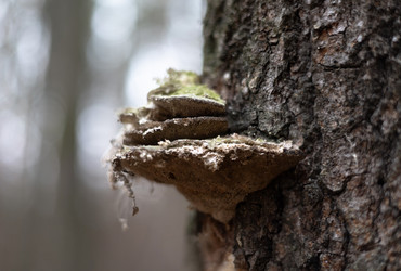 Similar image 22560676