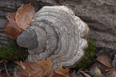 Similar image 22560677