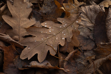 Similar image 22562413