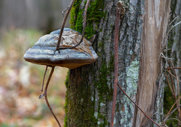 Similar image 22560678