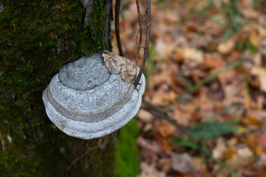 Similar image 22560679