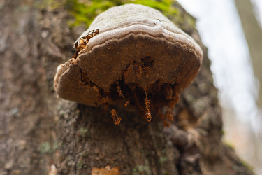 Similar image 22560680