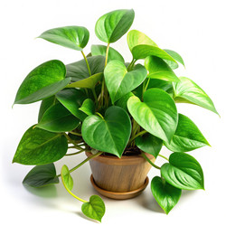 Similar image 22584342