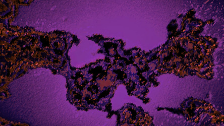 Similar image 22569446