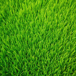 Similar image 22584596