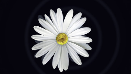 Similar image 22559095