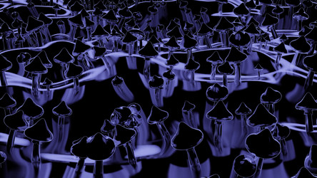 Similar image 22563331