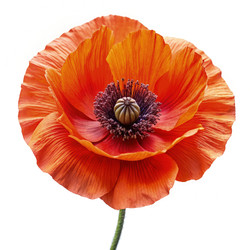 Similar image 22584236