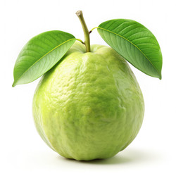 Similar image 22584464