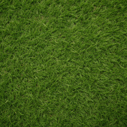 Similar image 22584474