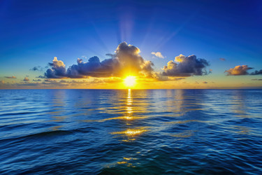 Similar image 22584506