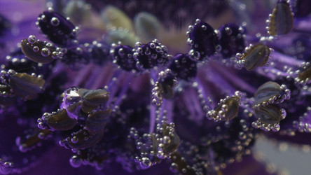 Similar image 22575255